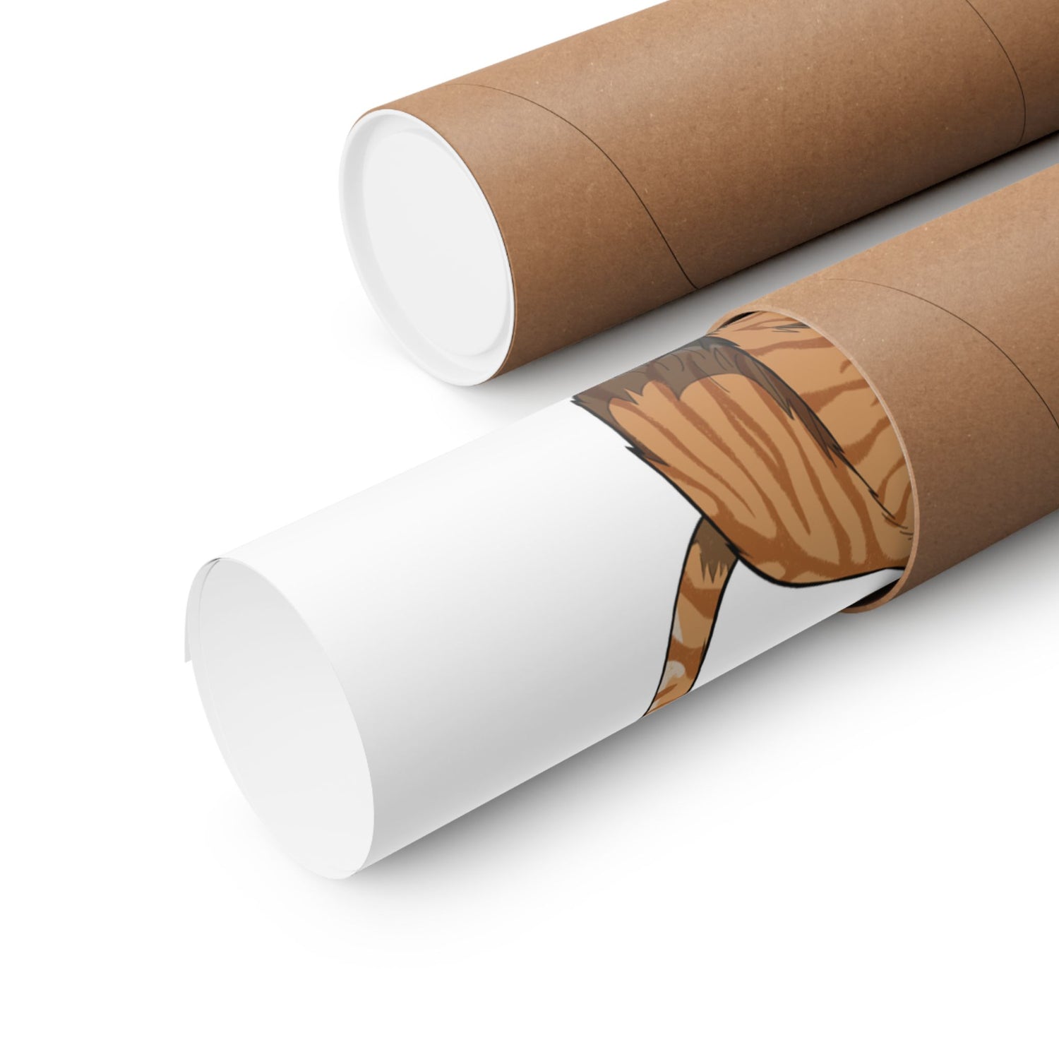 Mk22 Recon Cat - Matte Poster