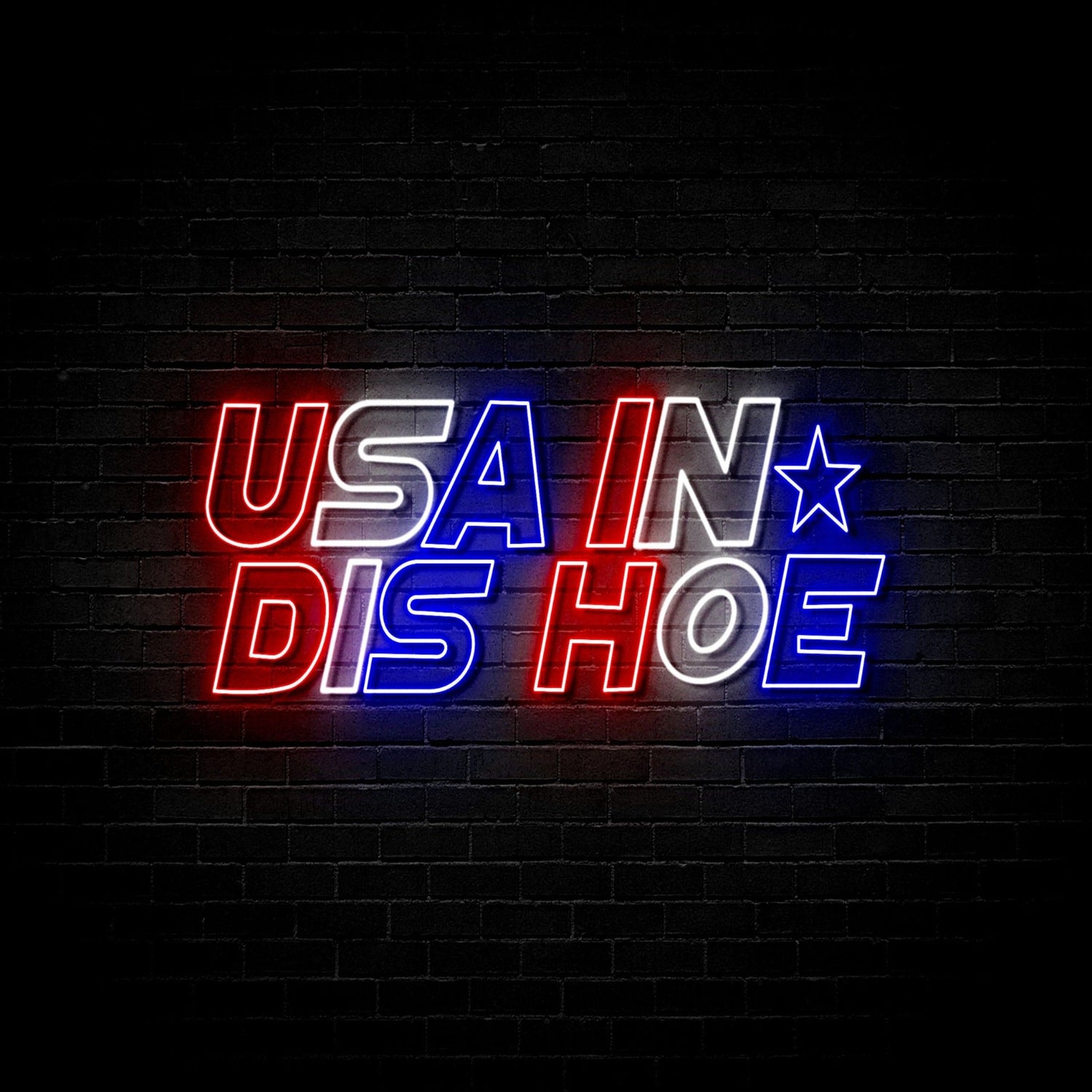 USA in dis hoe - Neon Sign (One Color LED)