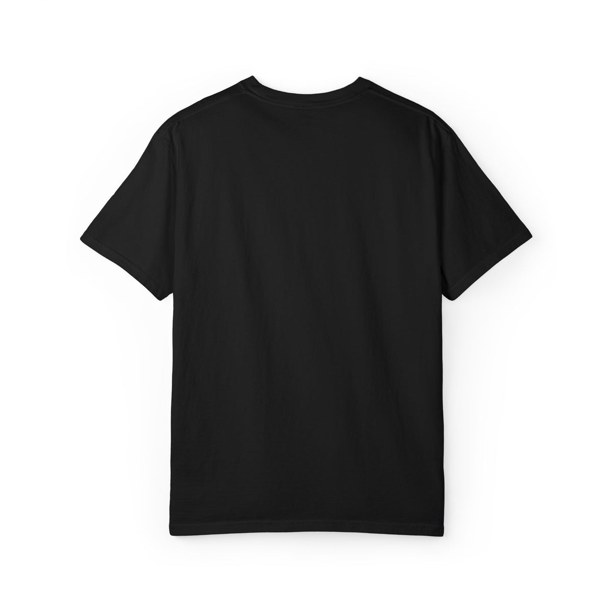 F22 Top View Silhouette – Embroidered Tee