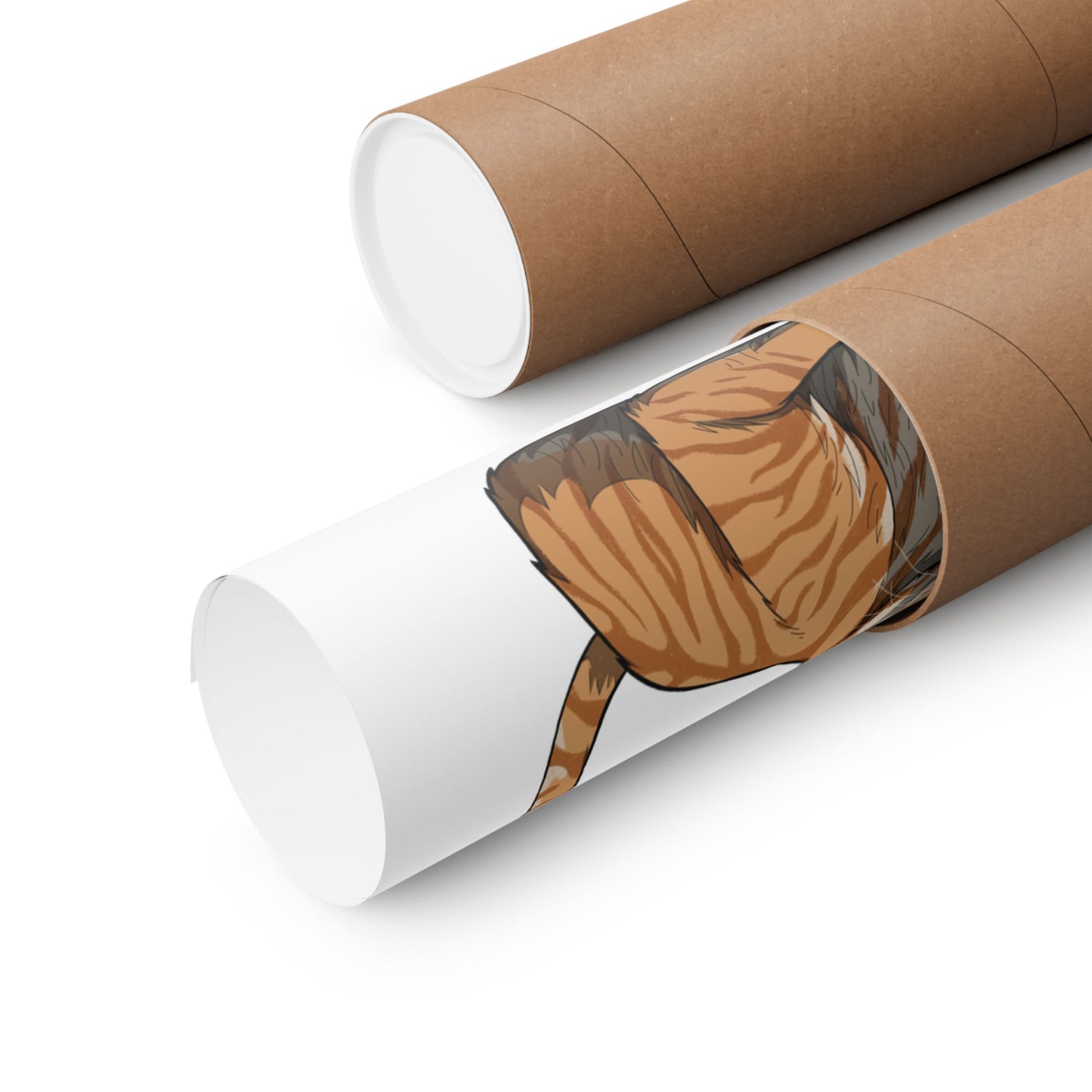 Mk22 Recon Cat - Matte Poster