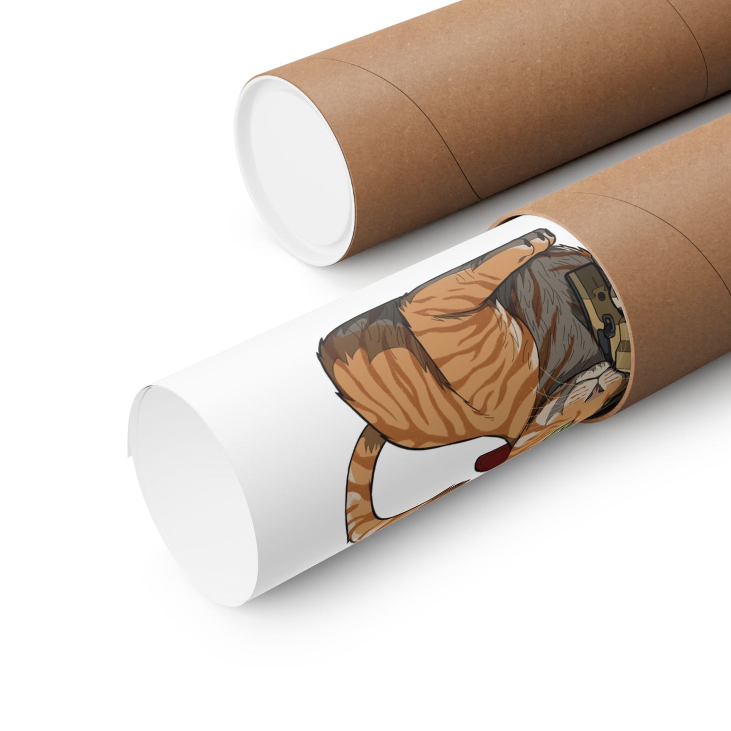 Mk22 Recon Cat - Matte Poster