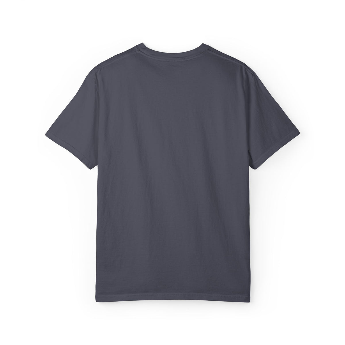 F22 Top View Silhouette – Embroidered Tee