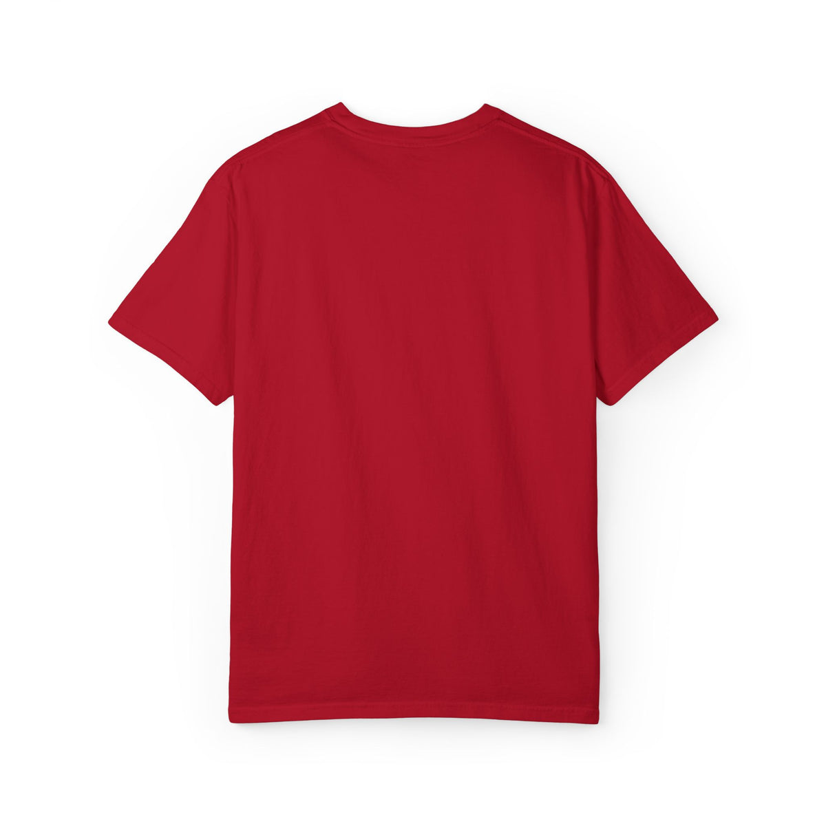 F22 Top View Silhouette – Embroidered Tee